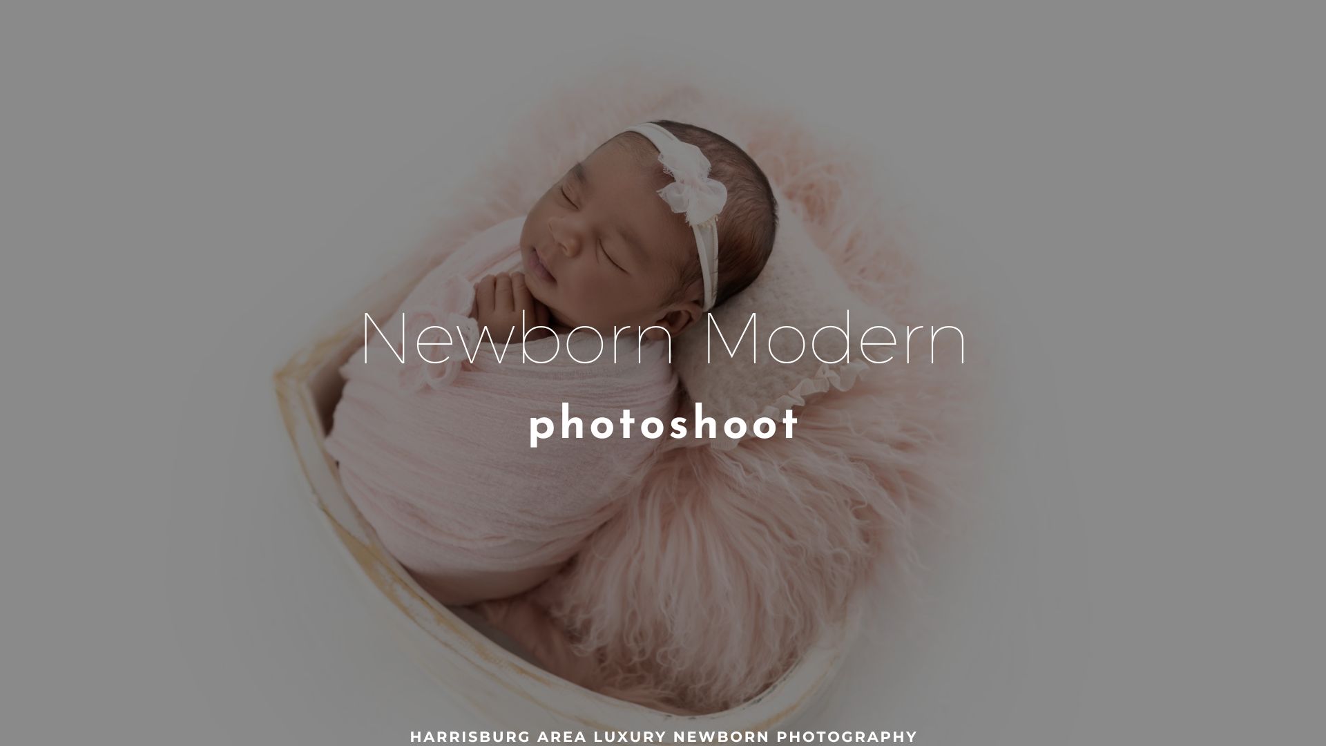 newborn modern photoshoot featured blog